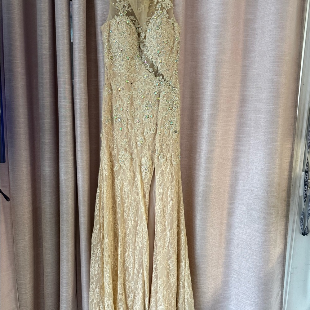 Elegant Lace Evening Gown